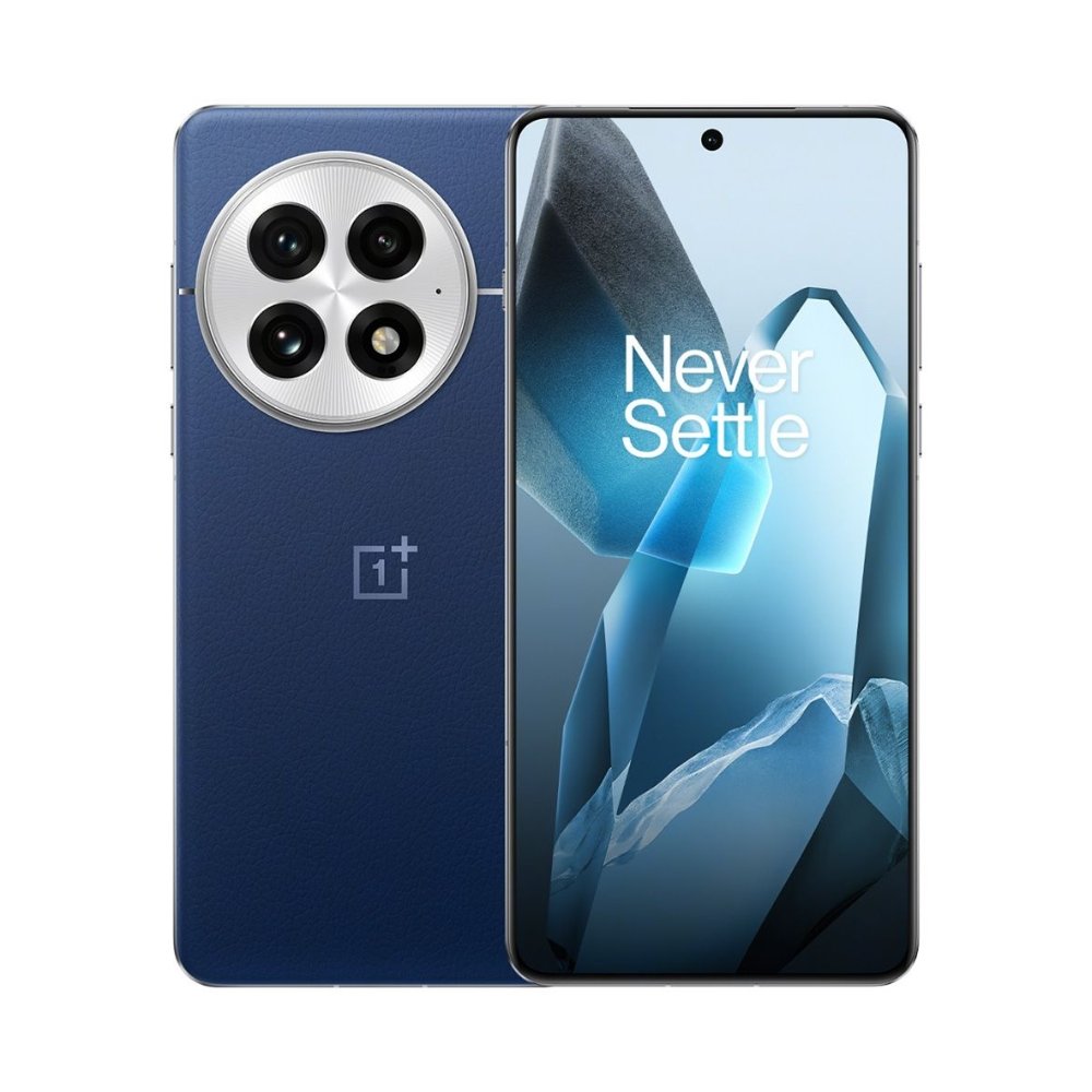 OnePlus 13