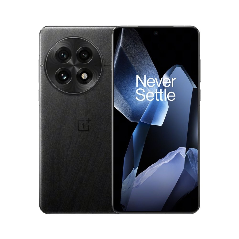 OnePlus 13